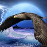 GeoWatch's profile picture