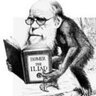 Profilbild von Alejandro Domínguez