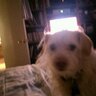 Profilbild von Pamela
