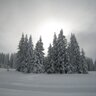 Profilbild von Susan Hurst