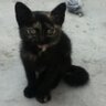 Caesar G.'s profile picture