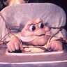 Adolfo Toriyama's profile picture