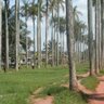 EKEMBE 的头像
