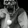 omar vajrapani's profile picture