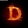 Profilbild von dinesh