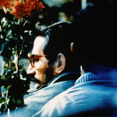 Sabzianbe's profile picture