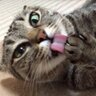 Profilbild von noriboooo