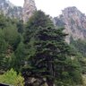 casanuvaccia 的头像