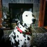 JUDY JAN.'s profile picture