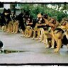 Mικρο Ψαρι's profile picture