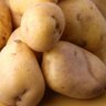 TheChunkyPotato profil fotoğrafı