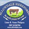 Allowdale Herefords:Breeders Anne P.&Liam Philpott 的头像