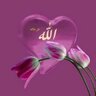Profilbild von عبد من عباد الله