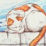 Profilbild von Luis VG