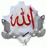 heba amin profil fotoğrafı