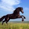 Фото профиля اللهم ارنا الحق حقاً