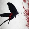 joeblackbird's profile picture