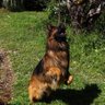 Profilbild von Titan