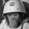 Humanoid History profil fotoğrafı