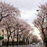 Фото профиля Love Ero