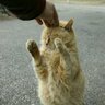 一輝 profil fotoğrafı