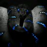 Black Mamba Investments profil fotoğrafı