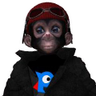 なんもさん's profile picture