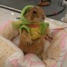 Profilbild von ยุดยีี ตุ๊ดดีี
