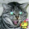 ミー太郎@ふー太郎(ねぎ名)'s profile picture