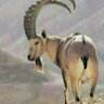 يأرب لرباب ساعدني وكن عوني profil fotoğrafı