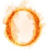 Oswaldo Rodriguez's profile picture