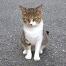 bombom profil fotoğrafı