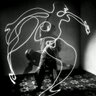 le tapir 的头像
