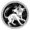 Фото профиля Luis Gala