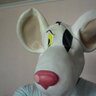 Profilbild von Wayne Penfold