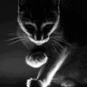 Profilbild von o!