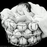 Profilbild von LeAnn Neel Romine
