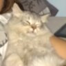 Innieminiminimoe profil fotoğrafı