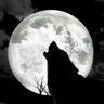 Decker Wolfe's profile picture