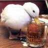 Vanderson's profile picture
