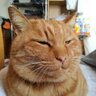 あがるた 的头像