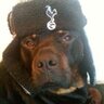 Profilbild von steve jones