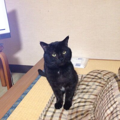 ビーチインたけそう@女将's profile picture