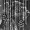 Profilbild von Mansan