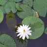 Anitha.J 的头像