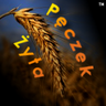 Pęczek Żyta's profile picture
