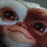 Marla's profile picture