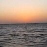 سعيد العُمري 的头像