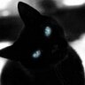 Amparo Marzal's profile picture