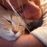 Profilbild von Butters